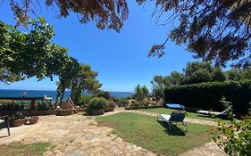 Villa Damiano